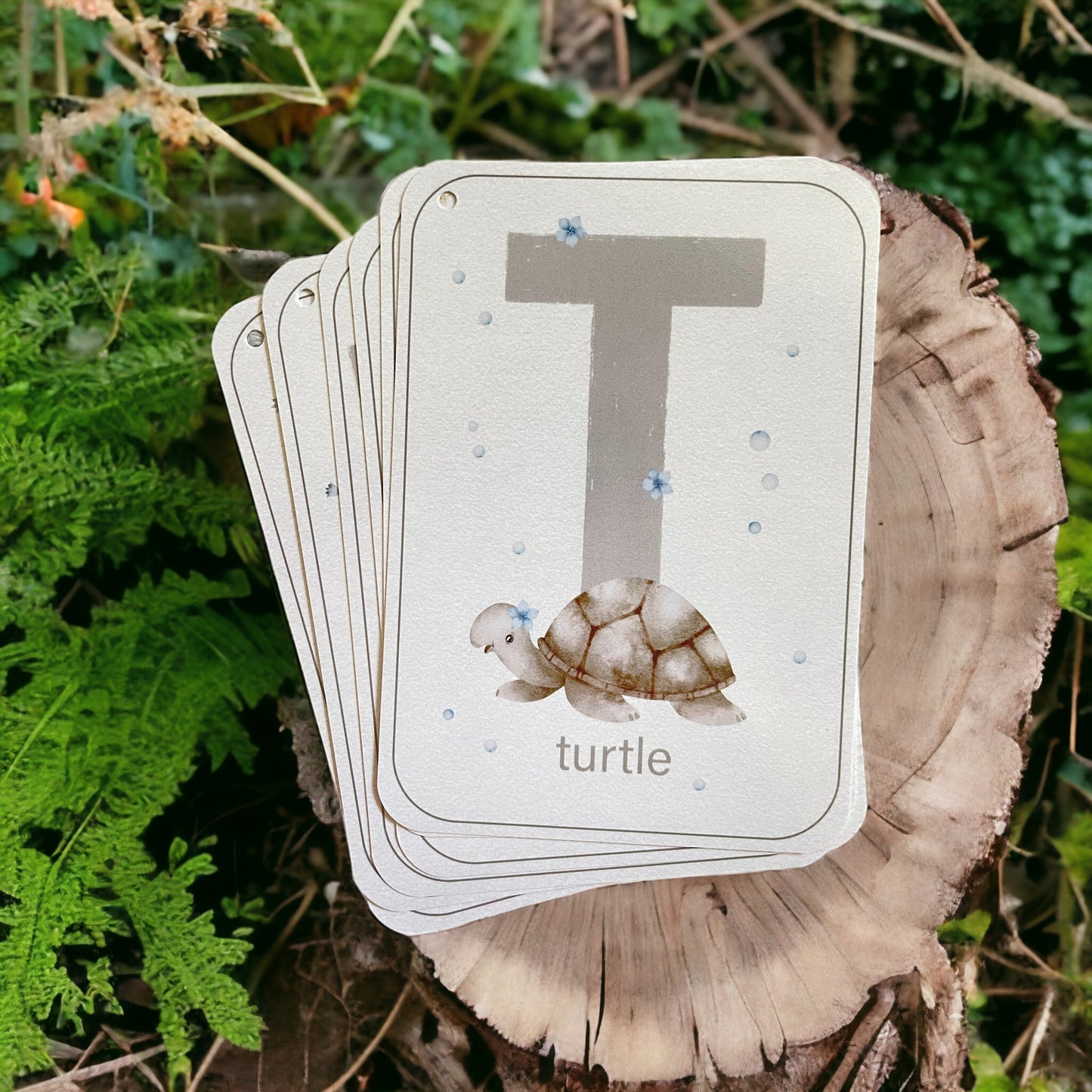 English Alphabet Flash Cards