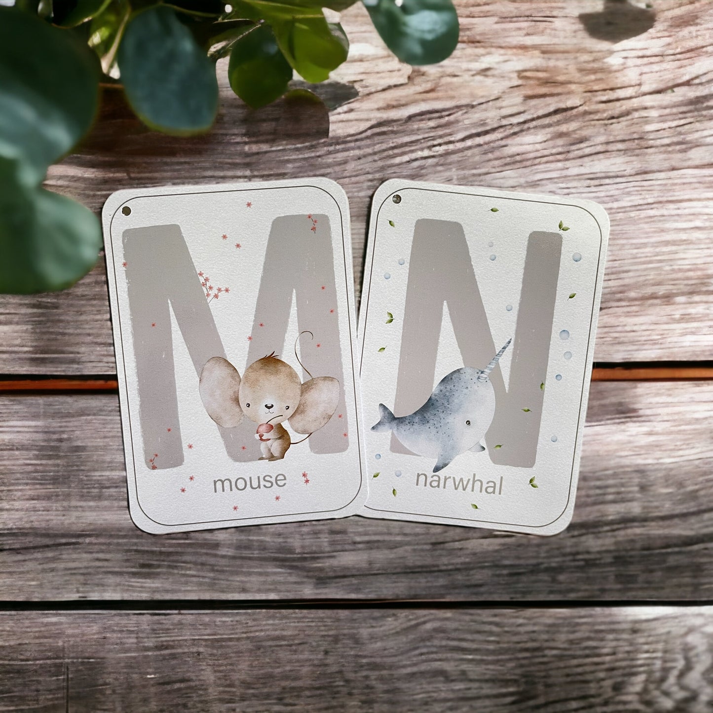 English Alphabet Flash Cards