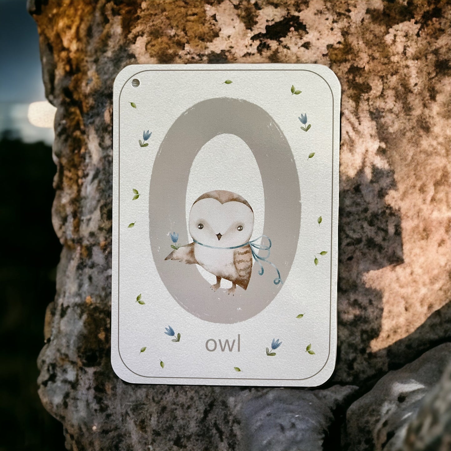 English Alphabet Flash Cards