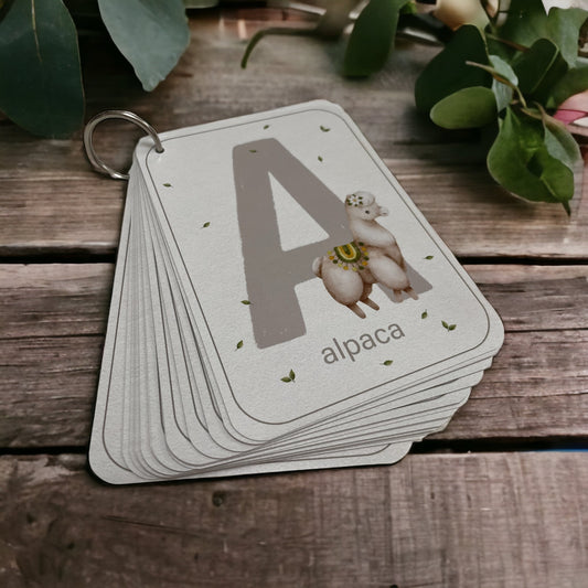 English Alphabet Flash Cards