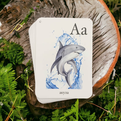 Shark alphabet card on a tree stump — Russian alphabet cards