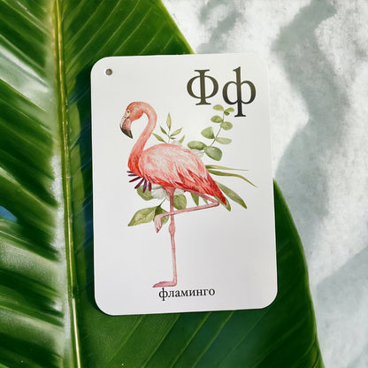 Flamingo alphabet card against a green leaf — Russian alphabet cards