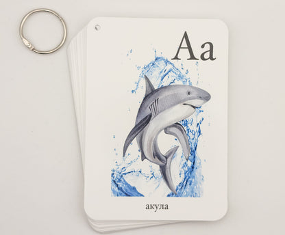Stack of shark alphabet cards with a metal ring — Russian alphabet cards